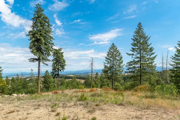 6612 W Lookout Mountain Ln, Spokane, WA 99208