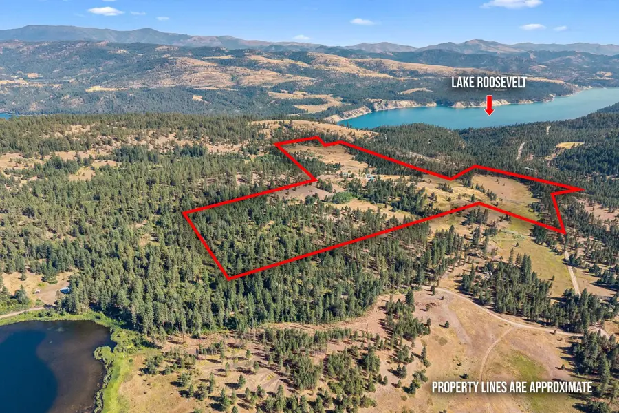 26 Stray Dog Canyon Rd, Inchelium, WA 99138 - Image #2