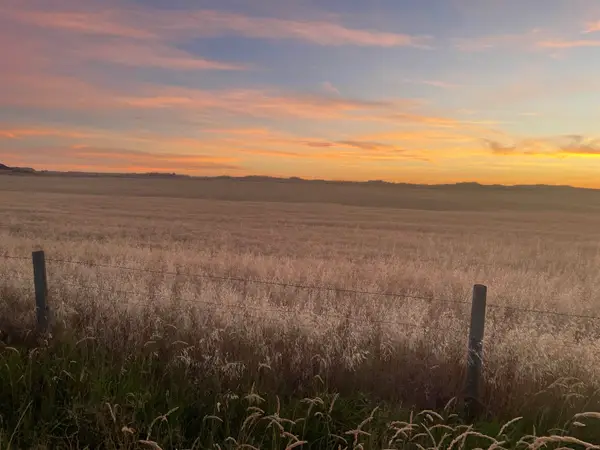 35251 Crescent N Rd, Reardan, WA 99029