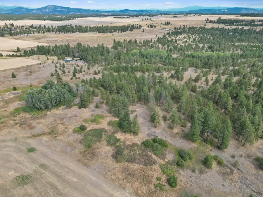 228xx W Four Mound Rd, Nine Mile Falls, WA 99026 - Image #2