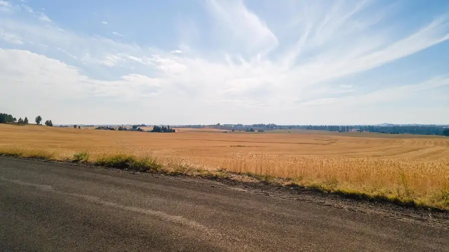 12206 S Jackson Rd, Mica, WA 99023 - Image #3