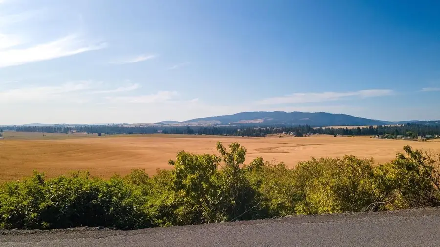 12404 S Jackson Rd, Mica, WA 99023 - Image #3