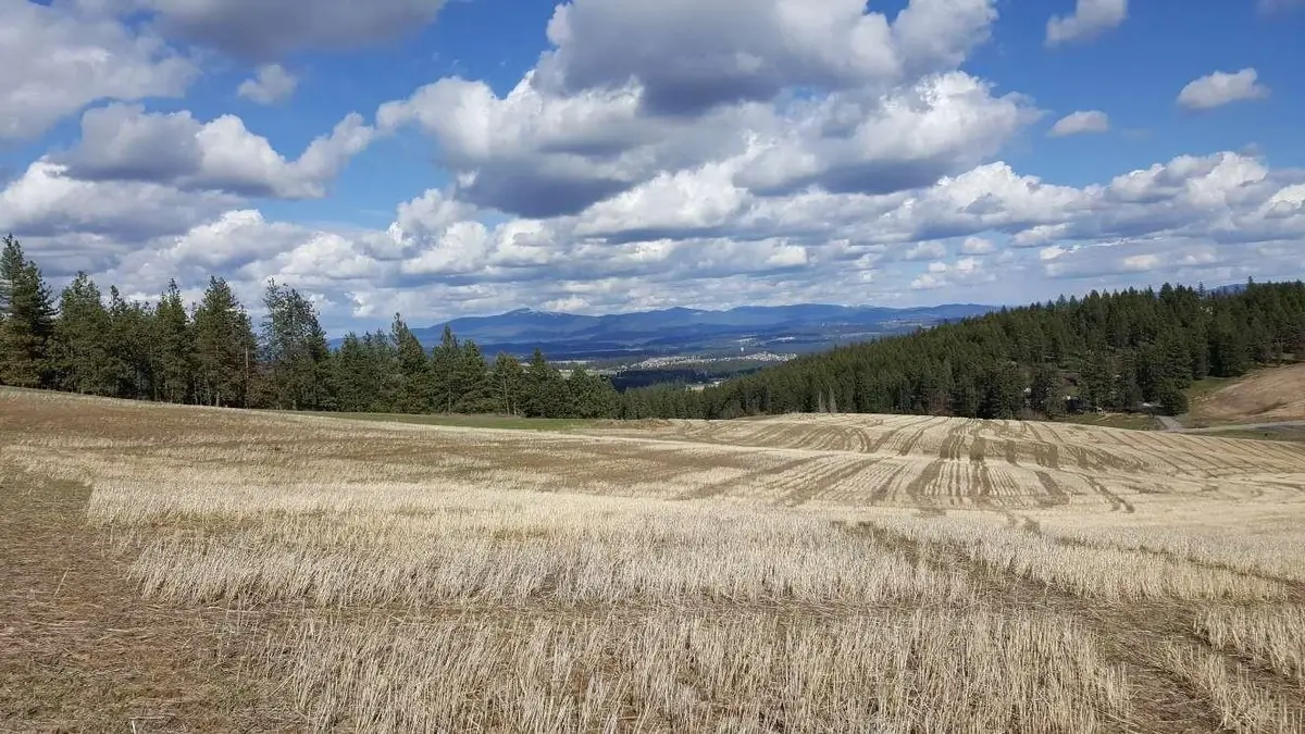 16400 N Dalton Rd, Spokane, WA 99208 - Image #1