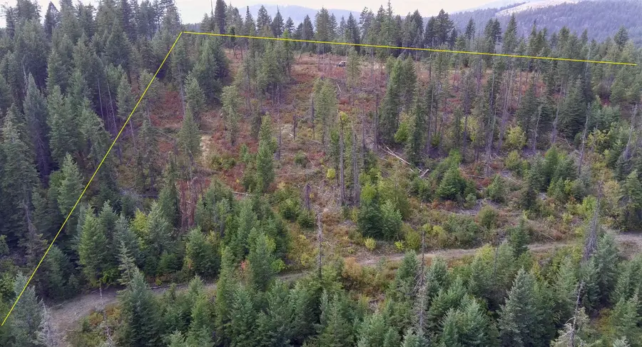 2784 Red Tail Way, Colville, WA 99114 - #3