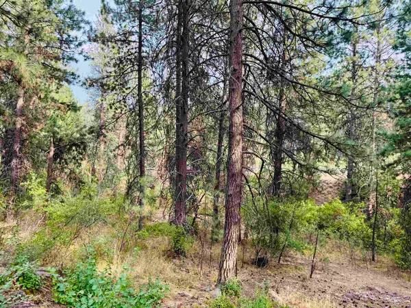 3611 W Rosamond Ave, Spokane, WA 99224