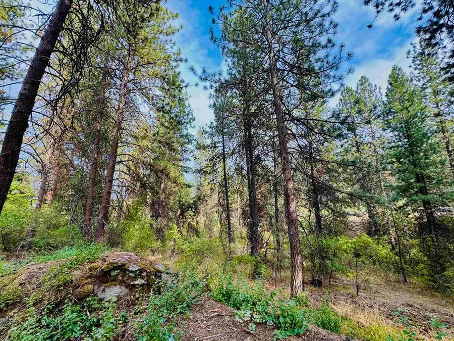 3611 W Rosamond Ave, Spokane, WA 99224 - Image #2