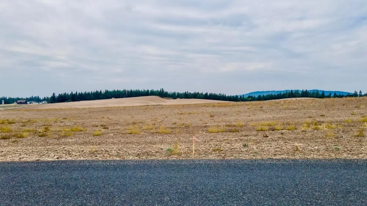 10604 S Jackson Rd, Mica, WA 99023 - Image #1