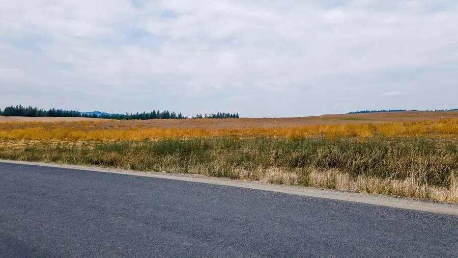 15237 E Belmont Appx. Rd, Mica, WA 99023 - Image #3