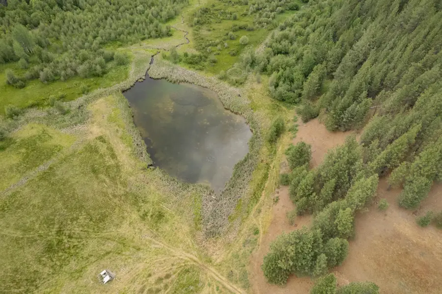 4110 Cemetery Rd, Springdale, WA 99137 - Image #3