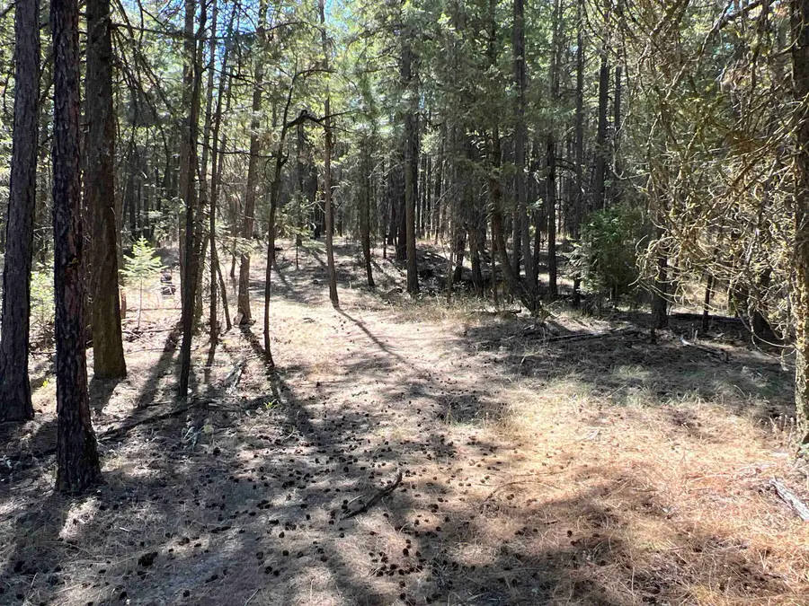 NKA Coyote Ridge Ln, Ford, WA 99013 - Image #3