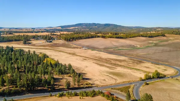 10808 S Jackson Rd, Mica, WA 99023