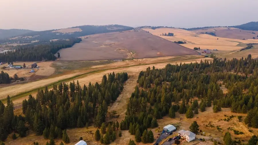 14828 E Belmont Rd, Mica, WA 99023 - Image #2