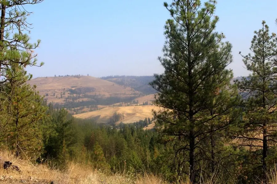 35770 N Spruce Grouse Ln, Davenport, WA 99122 - Image #2