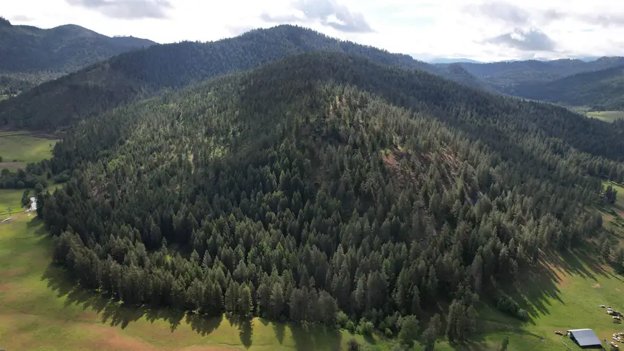 Parcel AB Daisy Mine Rd, Gifford, WA 99131 - Image #3