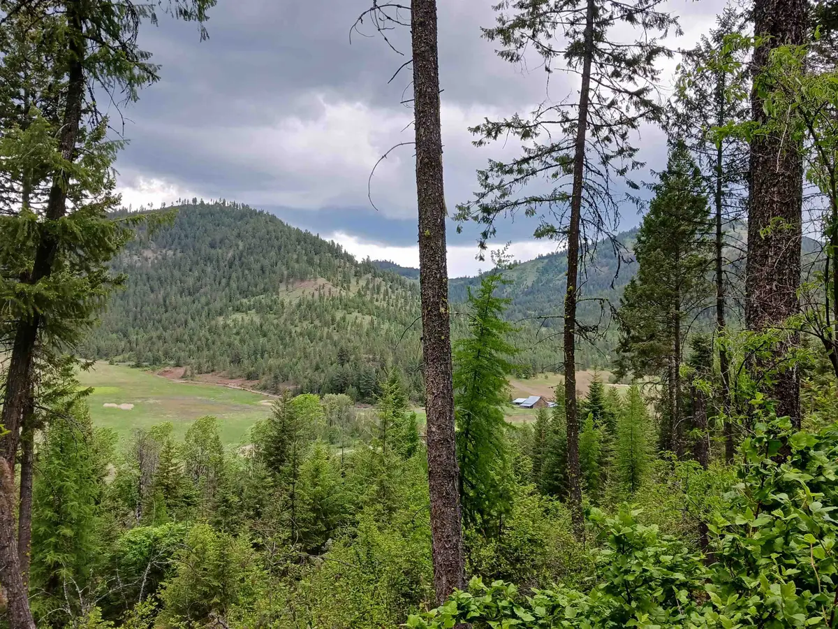 Parcel C Daisy Mine Rd, Gifford, WA 99131 - Image #1