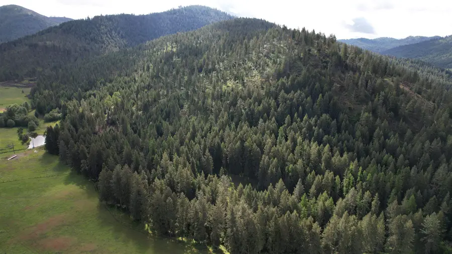 Parcel C Daisy Mine Rd, Gifford, WA 99131 - Image #3