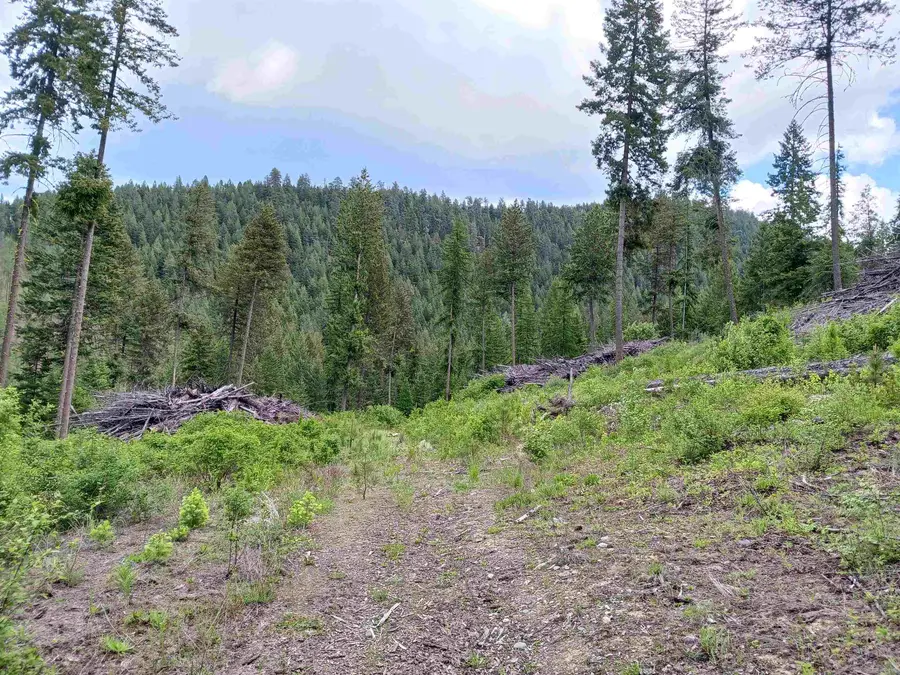 Parcel E Daisy Mine Rd, Gifford, WA 99131 - Image #2