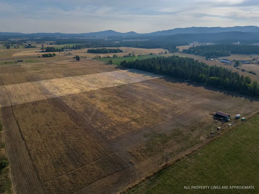 Lot 4 Grove Rd, Deer Park, WA 99006 - Image #2