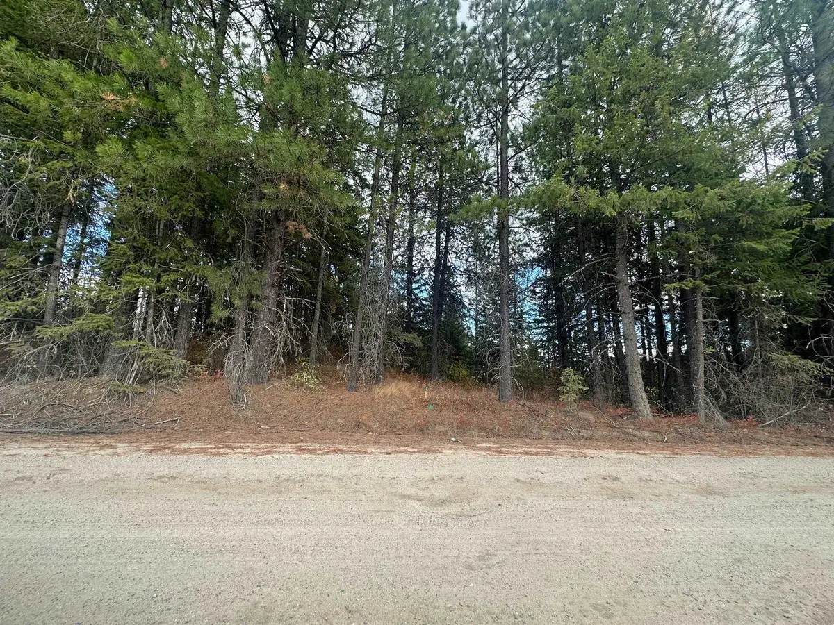 4450 Buck Creek Rd, Loon Lake, WA 99148 - Image #1