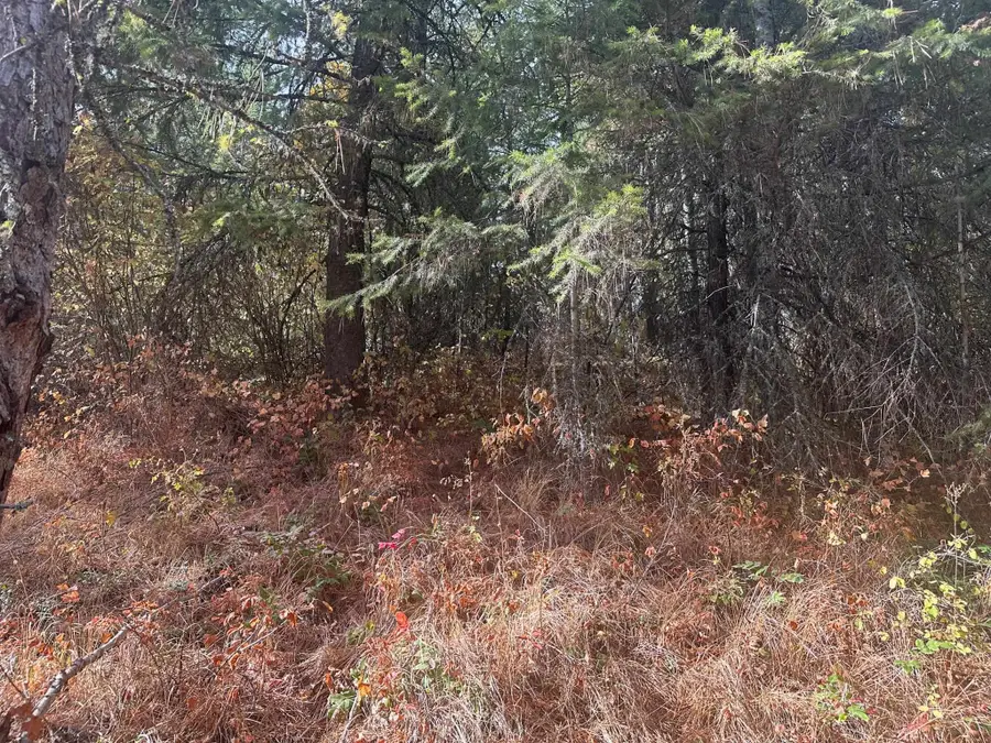 4450 Buck Creek Rd, Loon Lake, WA 99148 - Image #3