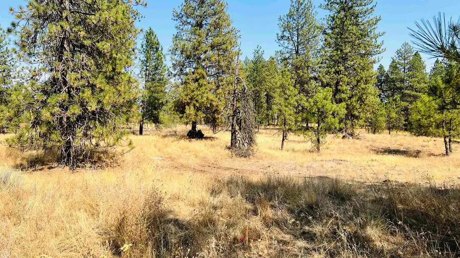 xxx W Brooks Rd, Medical Lake, WA 99022 - Image #2