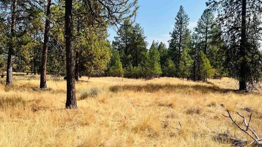 xxx W Brooks Rd, Medical Lake, WA 99022 - Image #3