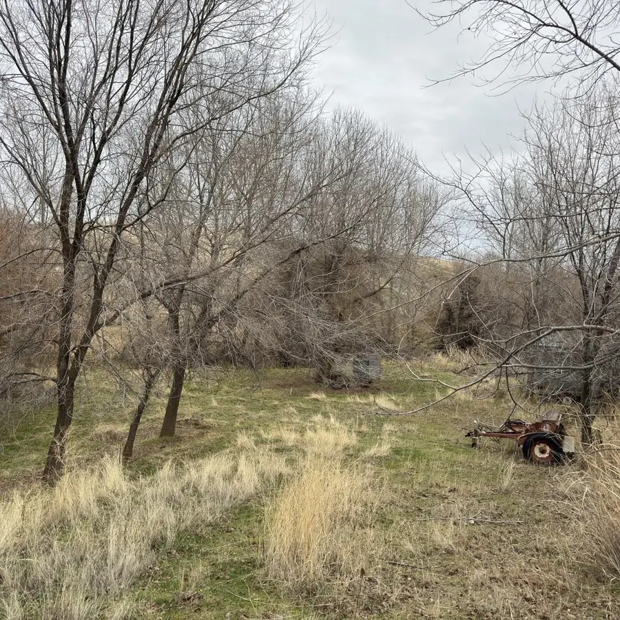 101 Smith Gulch Rd, Pomeroy, WA 99347 - Image #2