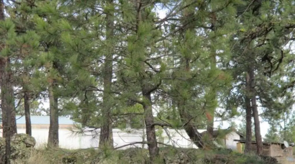 18711 S Aspen Meadows Dr, Cheney, WA 99004 - Image #1