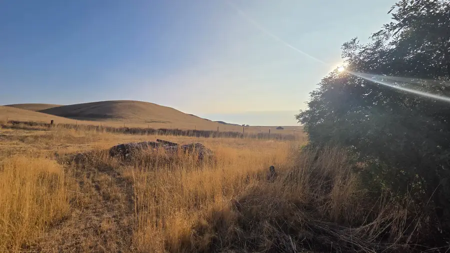 908 Garfield St, Lamont, WA 99017 - Image #2