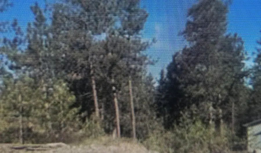 3410 S Sipko Ln, Spokane, WA 99224 - Image #3