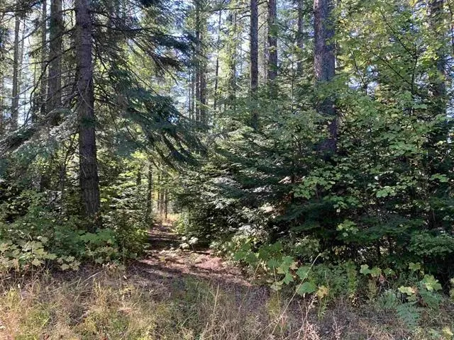 176xx E Tallman Rd, Chattaroy, WA 99003 - Image #3