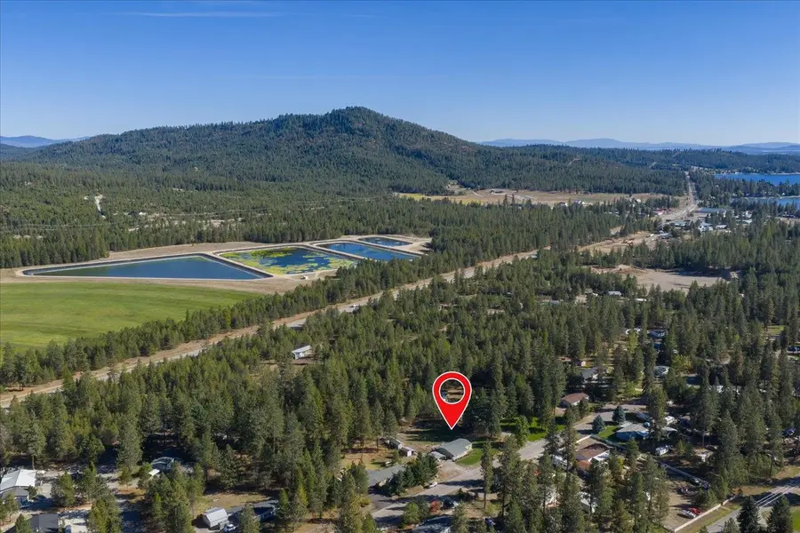 4062 Pine Meadows Dr, Loon Lake, WA 99148 - Image #3