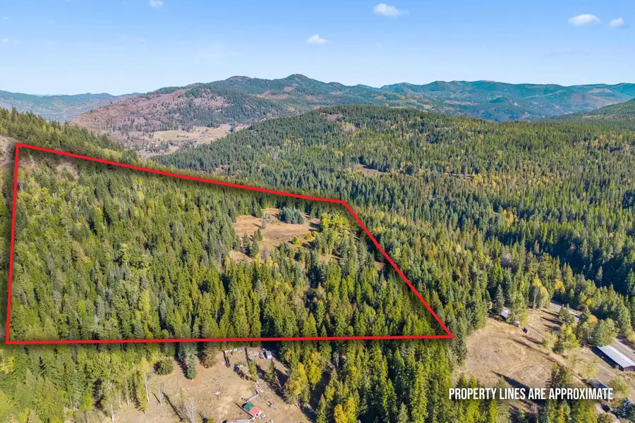 3841 Deep Lake Boundary Rd, Colville, WA 99114 - Image #2