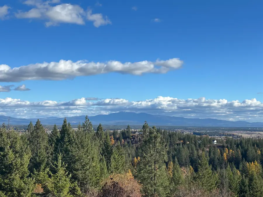 4746 Furzee Rd, Clayton, WA 99110 - Image #3