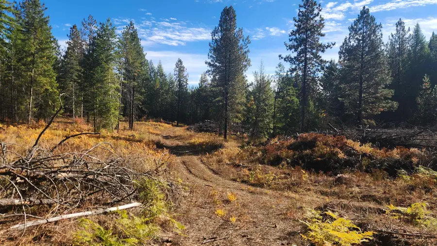 43xx Lyons Hill Rd, Springdale, WA 99173 - Image #2