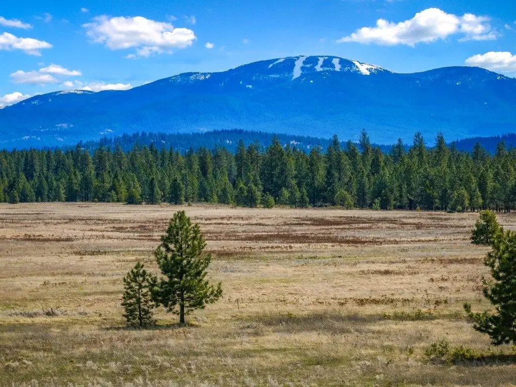 NKA W Findley Ln, Deer Park, WA 99006 - #1