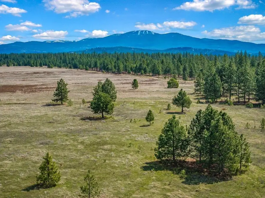 NKA W Findley Ln, Deer Park, WA 99006 - #2