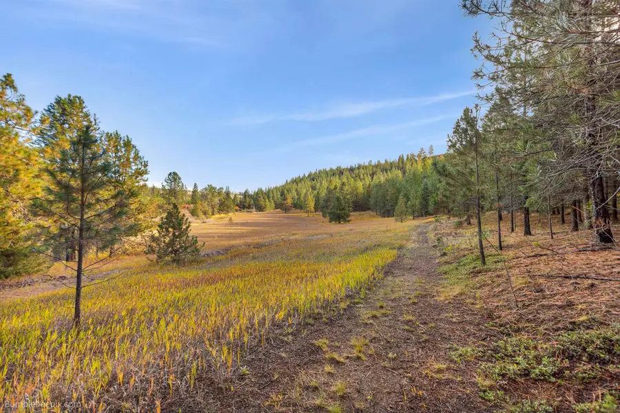 2311 N Fairchild Ln, Medical Lake, WA 99022 - Image #2