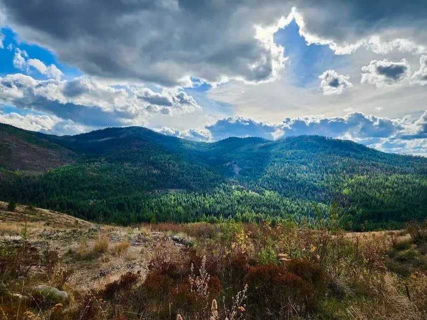 140 Lambert Mountain Rd, Republic, WA 99166-0000 - #3