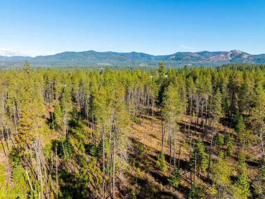 NKA Western Larch Rd, Newport, WA 99156 - Image #3