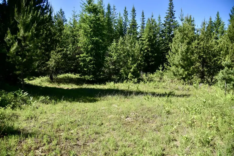 1922 Gray Rd, Newport, WA 99156 - Image #2