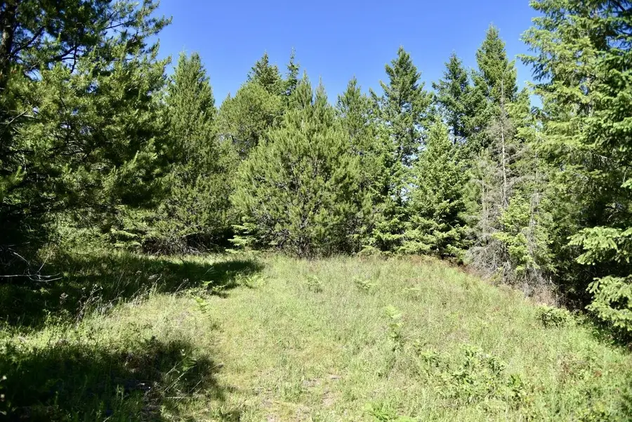 1922 Gray Rd, Newport, WA 99156 - Image #3