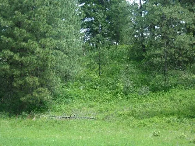 XXXO Hoag Rd, Valley, WA 99181 - Image #2