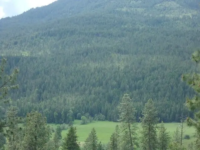 XXXO Hoag Rd, Valley, WA 99181 - Image #3