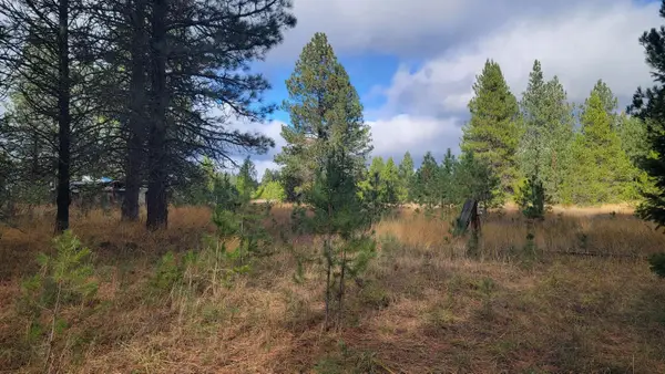 652 Jorgens Rd, Newport, WA 99156