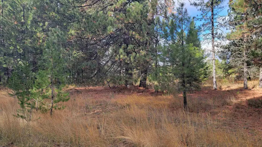 652 Jorgens Rd, Newport, WA 99156 - Image #3