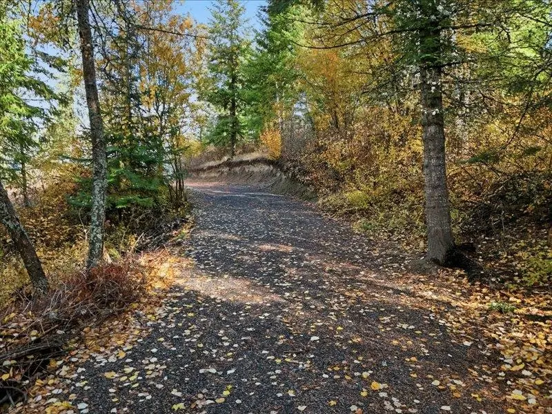 TBD S Swenson Rd, Deer Park, WA 99006 - Image #2