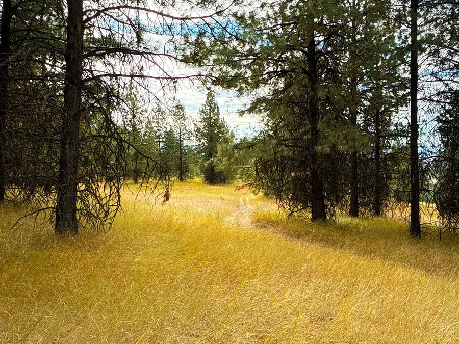 755 Conrad Hill Way, Colville, WA 99114 - #3