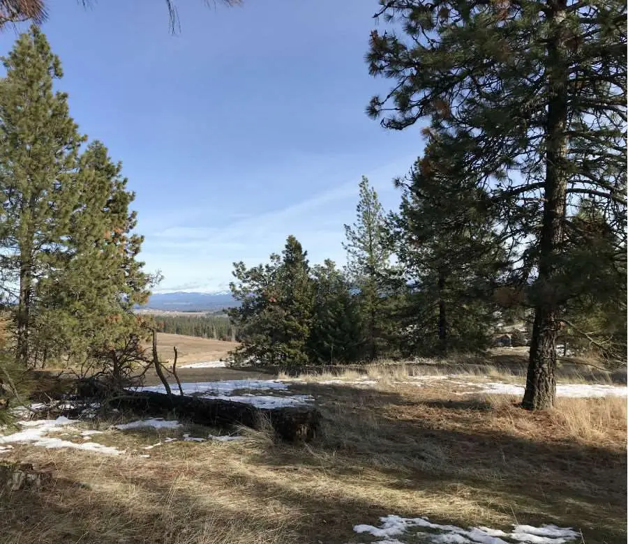 15000 N Brannon Ln, Spokane, WA 99208 - Image #2