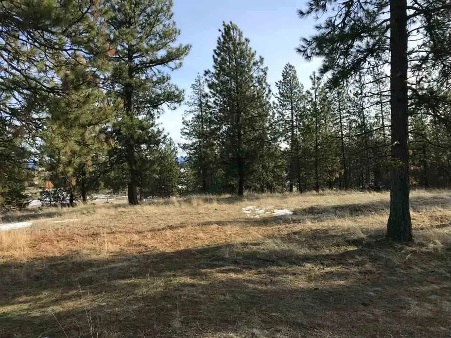 15000 N Brannon Ln, Spokane, WA 99208 - Image #3